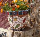 Mosaic Plant Pot Playa Coyote: Bahia Concepcion March 2017